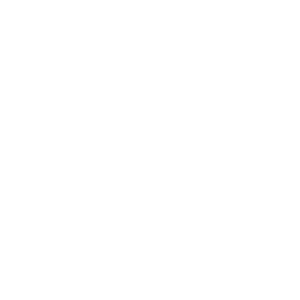 IE University opt