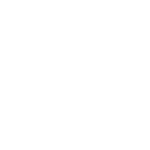 Andela opt